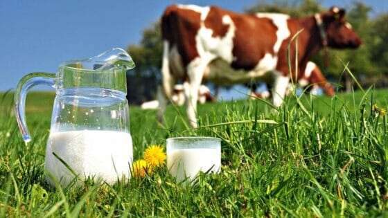Latte, intesa ‘salva stalle’, Coldiretti-Confcommercio Toscana