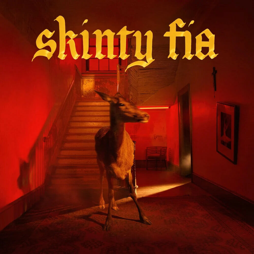 Skinty fia