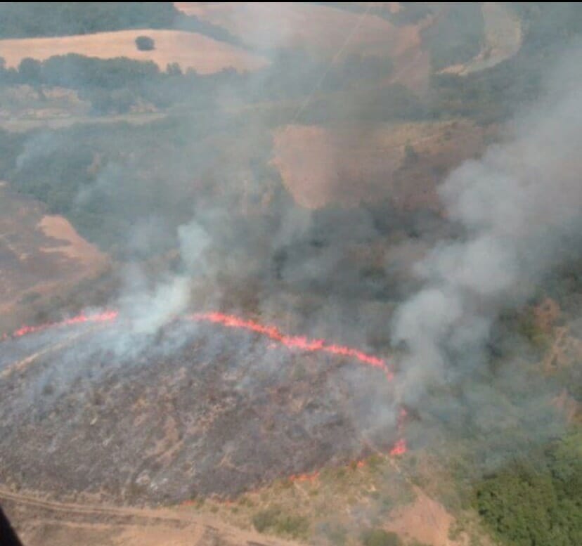Incendio bosco Cinigiano
