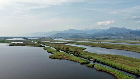 Consorzio bonifica, forte calo lago Massaciuccoli