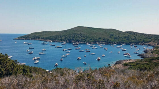 Giannutri, Legambiente: “Isola sempre più sotto assedio dei grossi motoscafi”