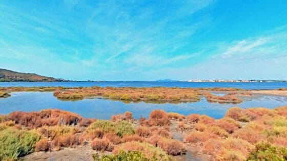 Laguna di Orbetello, Monni: “Situazione è migliorata ma resta critica”