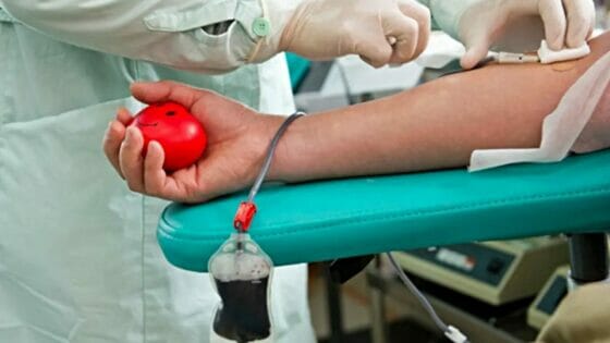 Allarme Avis, in Toscana manca sangue e burocrazia ci frena