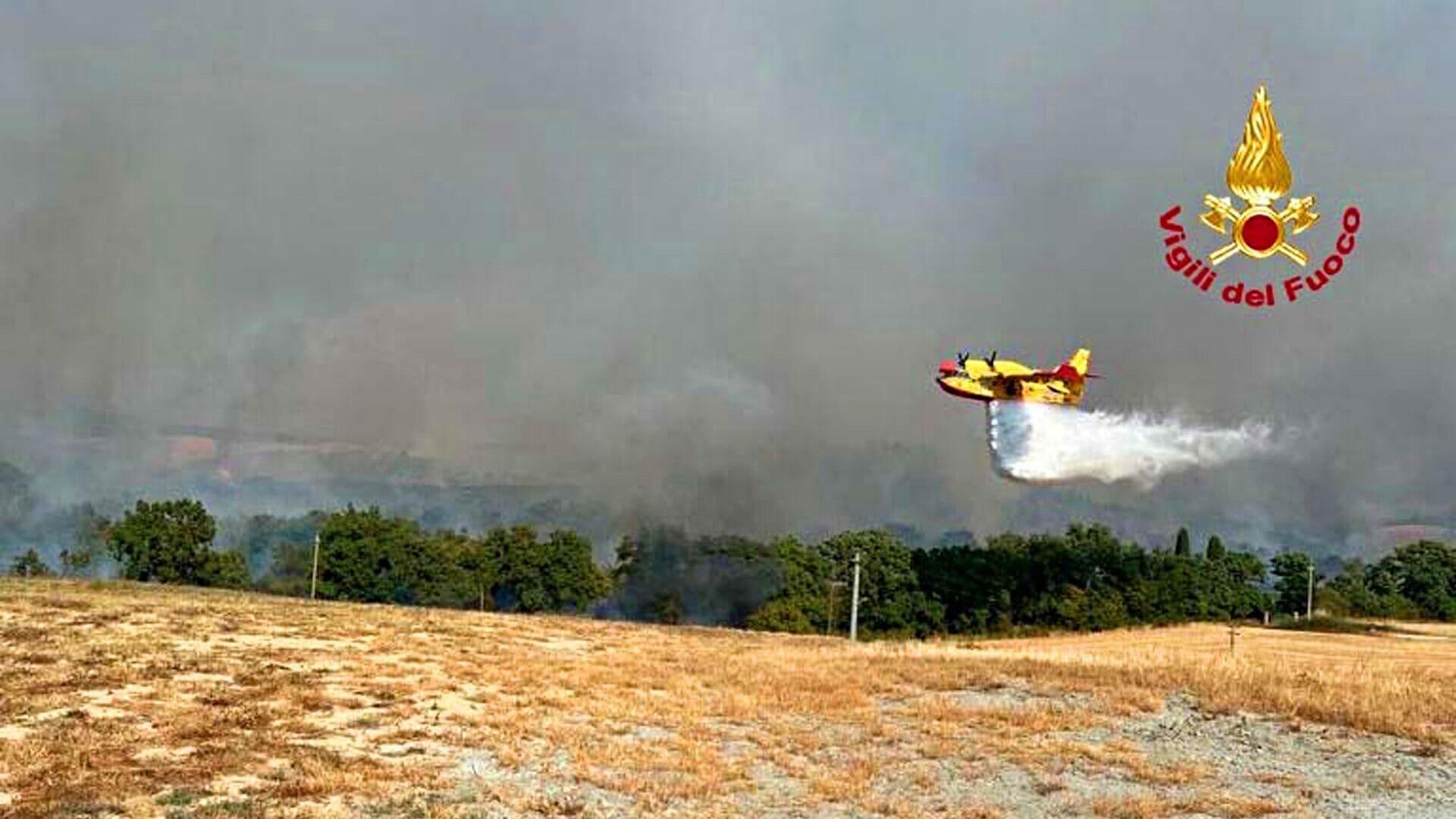 Incendi boschivi