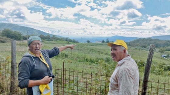 Coldiretti Pistoia: “La patata perde contro i cinghiali”. “Sulle colline pistoiesi: semina 10 quintali, per ottenerne 80, ma ne raccoglie 5”