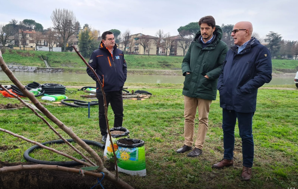 Abbattimento dei 34 alberi su Via Mariti