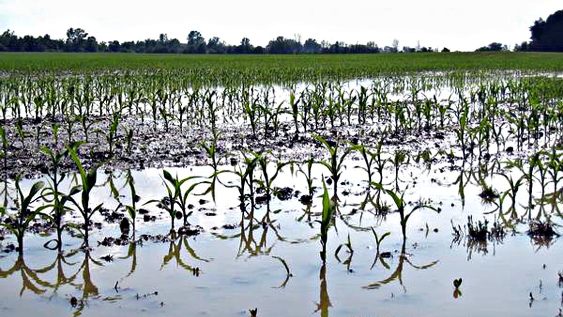 ricercatori igegneri