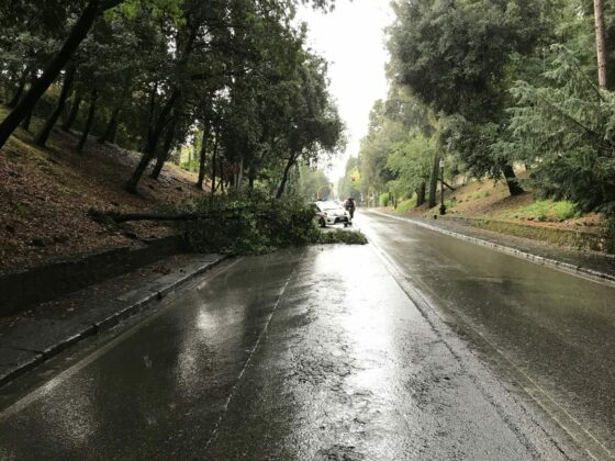 Maltempo: nubifragio all’Elba, allagamenti nel Grossetano, Versilia e Pistoia . Tromba d’aria a San Rossore