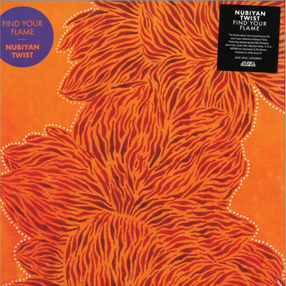Nubiyan Twist, “Find Your Flame”. Il Disco della Settimana.
