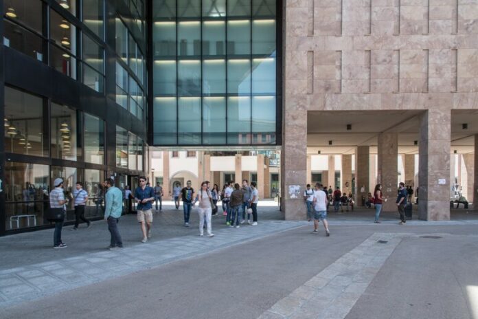 università di Firenze, Polo di Novoli