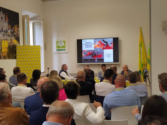 🎧 Coldiretti :”non  utilizzare suolo agricolo per installazione fotovoltaico”