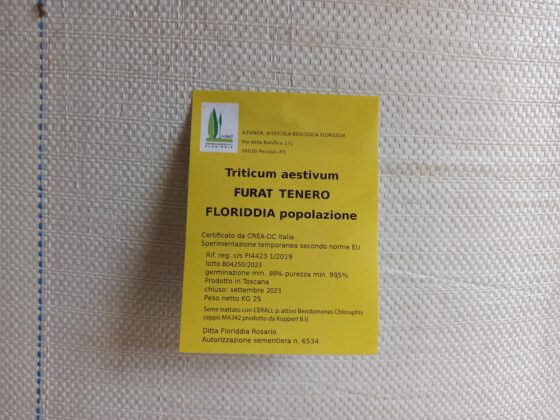 4 – La certificazione