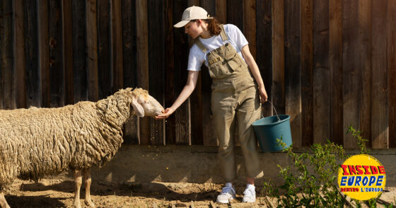 17.  Vado a vivere in campagna