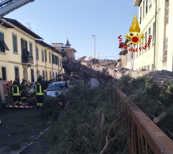 Crolla pino secolare a Scandicci: danni ad auto e tetti, disagi a illuminazione