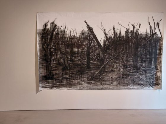 “Siamo Natura”, al Museo Novecento di Firenze la mostra dell’artista/attivista Haley Mellin