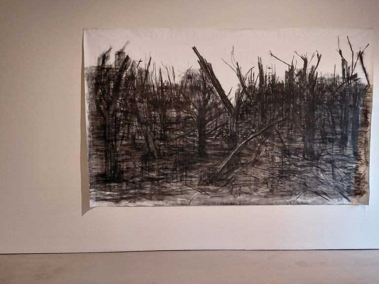 “Siamo Natura”, al Museo Novecento di Firenze la mostra dell’artista/attivista Haley Mellin