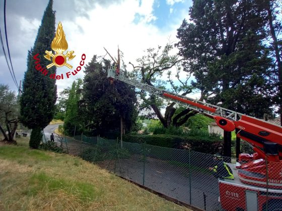 Maltempo, forti temporali a Firenze e caduta di alberi. Estesa allerta gialla