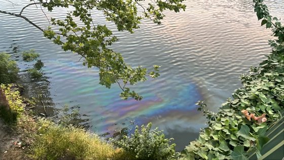Chiazza di idrocarburi in Arno tra Ponte da Verrezzano e Ponte San Niccolò