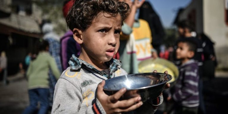 🎧 Gaza. Cardinale Lojudice,  ‘è un massacro, sollecitiamo a manifestare dissenso’