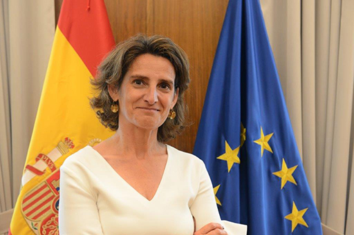 teresa ribeira