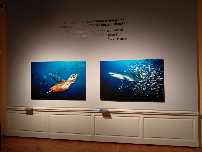 Mostra Oceani