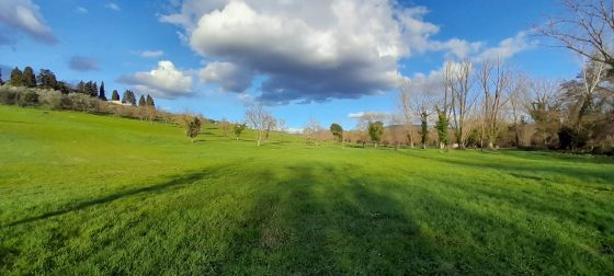 Dillo a Controradio – puntata 5 novembre 2025