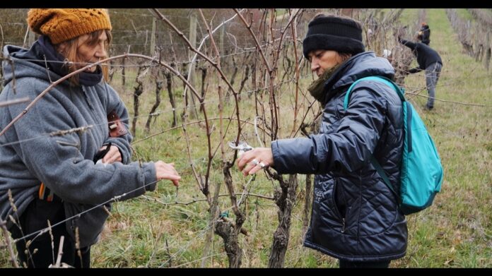 Scuola Contadina Mondeggi_Unione Buddhista Italiana@Alessandro De Angeli
