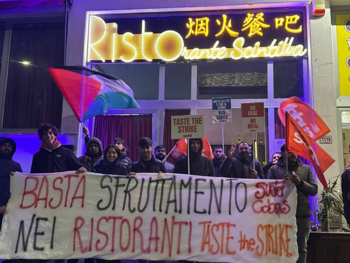 WhatsApp Image 2025-12-06 at 15.19.46