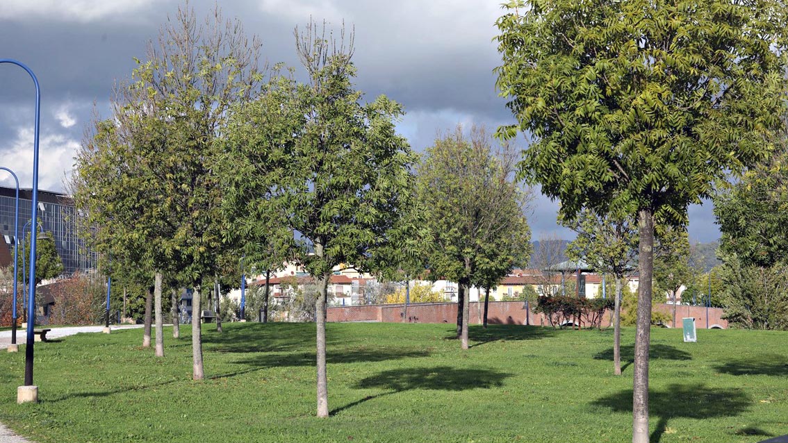 Parco di San Donato