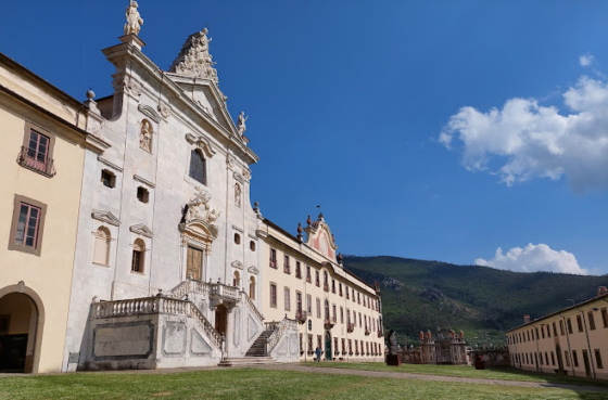 Università di Pisa: la professoressa Elena Bonaccorsi è la nuova direttrice del Museo di storia naturale