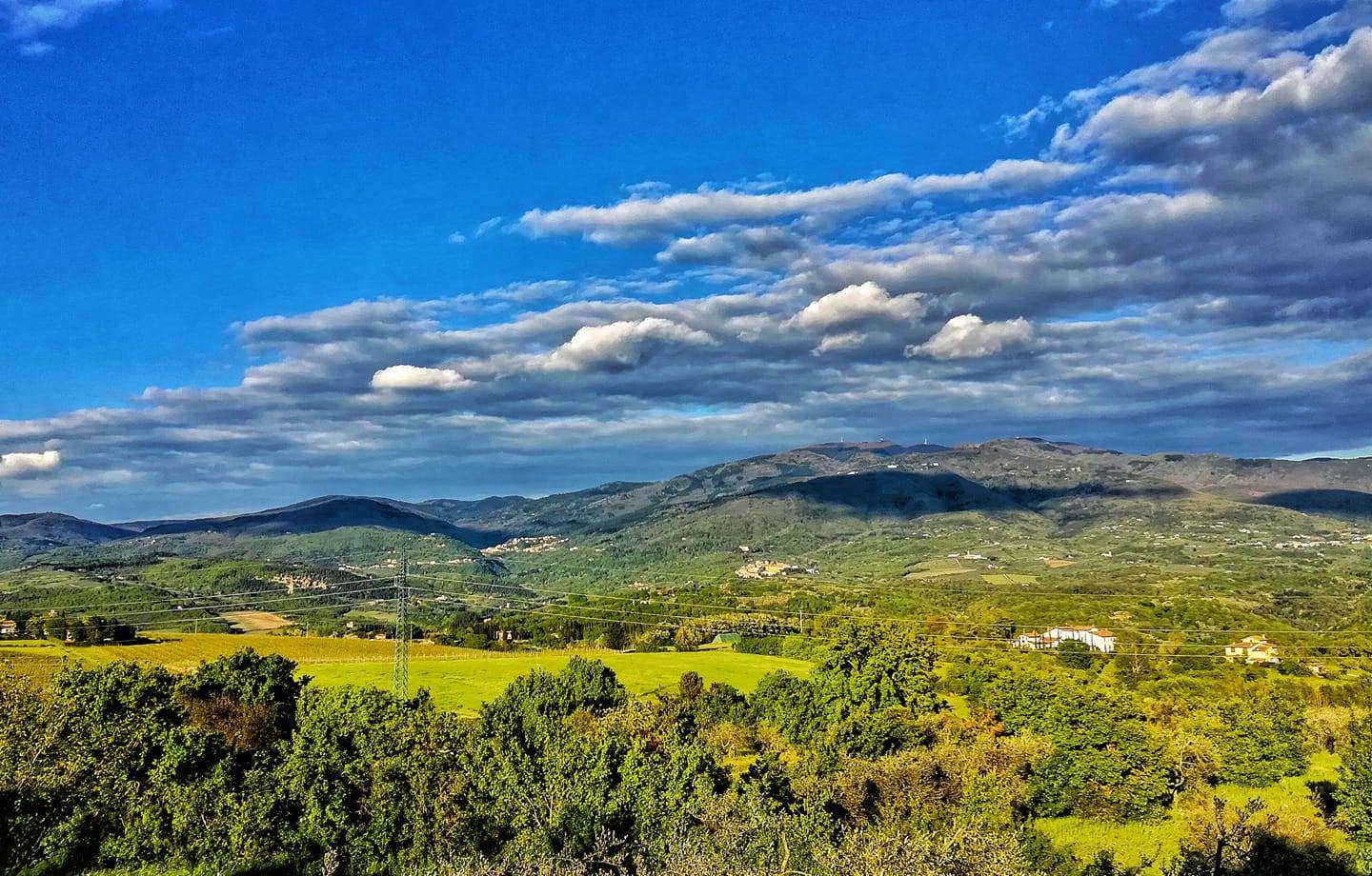 Foto presa da Wikimedia Commons