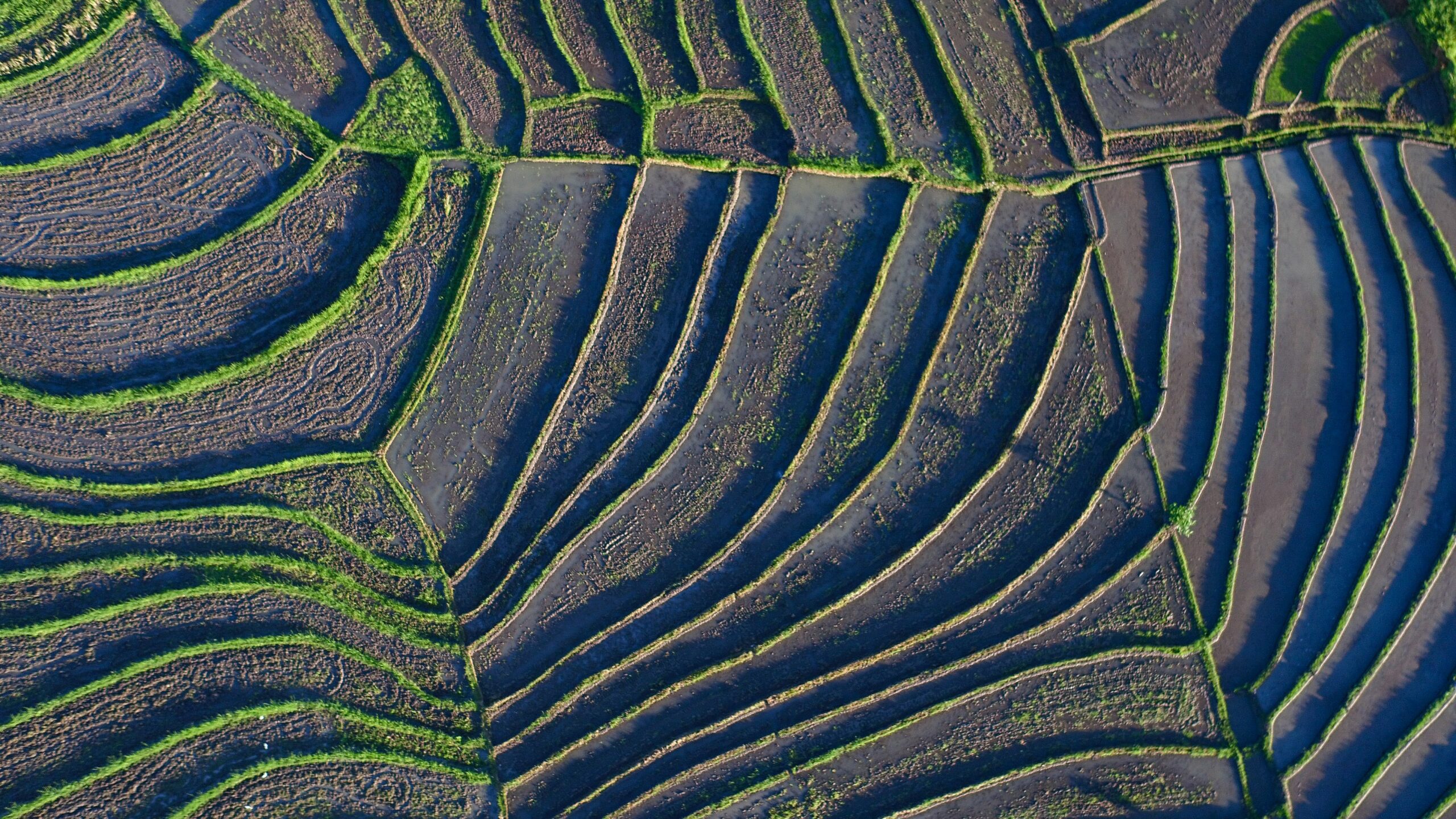 suolo agricolo