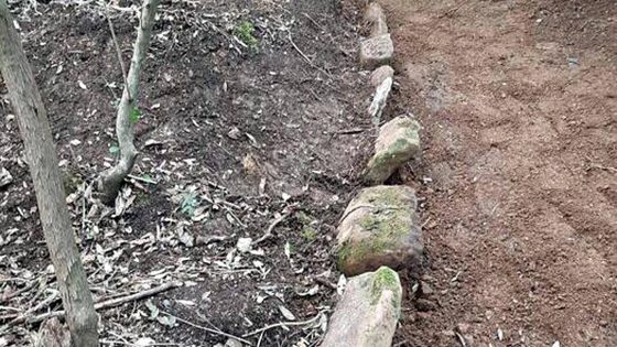 Necropoli etrusca scoperta vicino a Vetulonia. Nelle mappe archeologiche non era segnalata