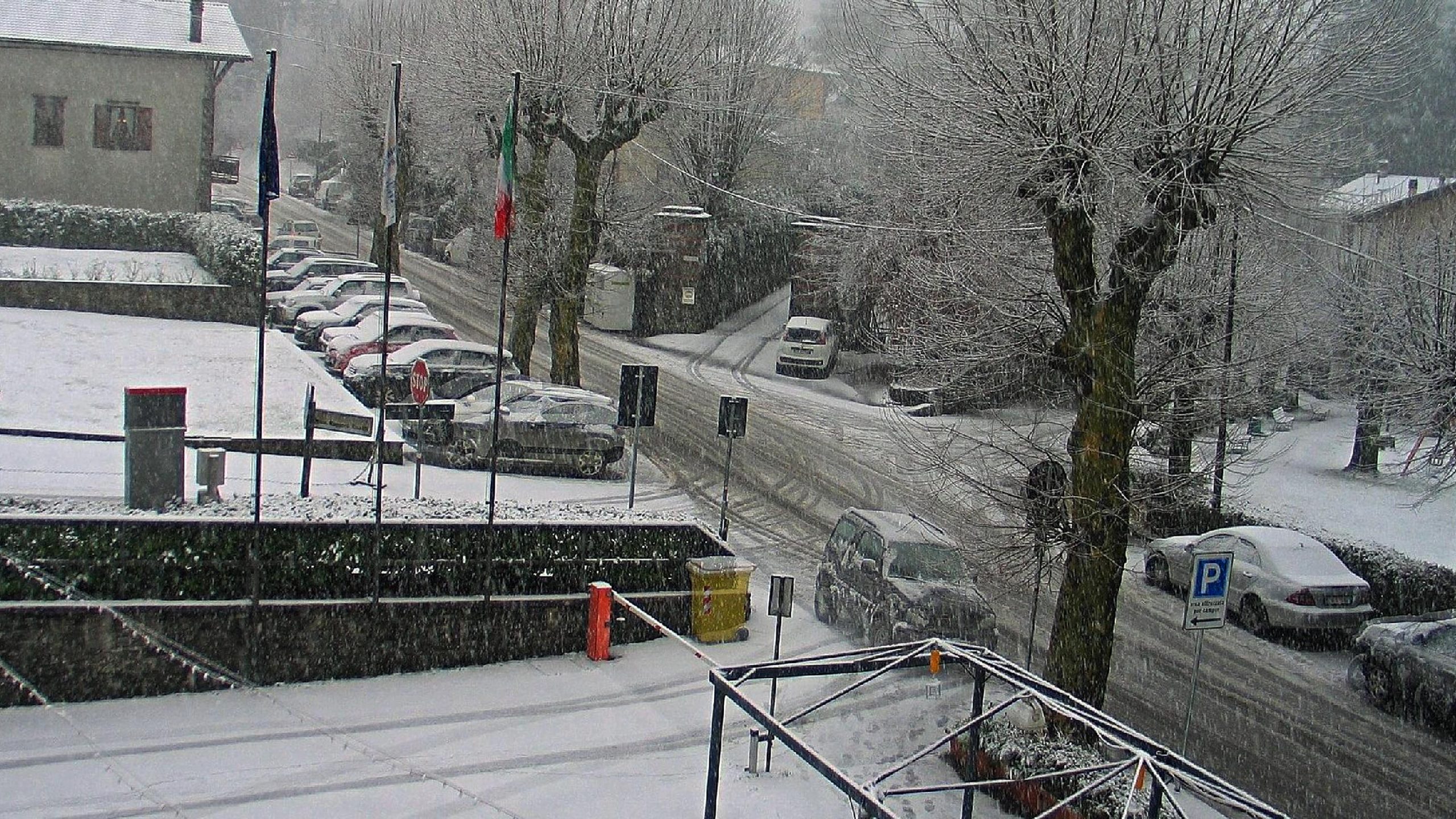 neve
