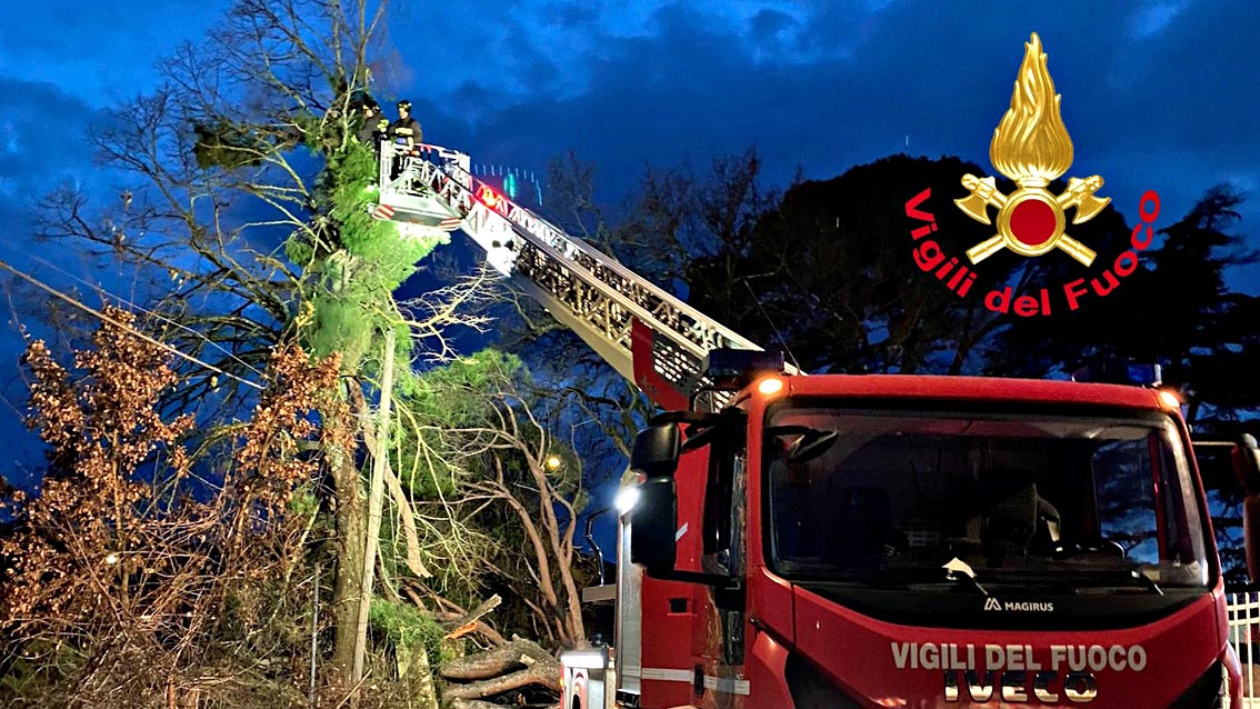 vigili