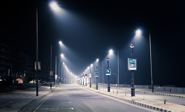 Lampioni a led posticipano l’arrivo dell’autunno per gli alberi in città