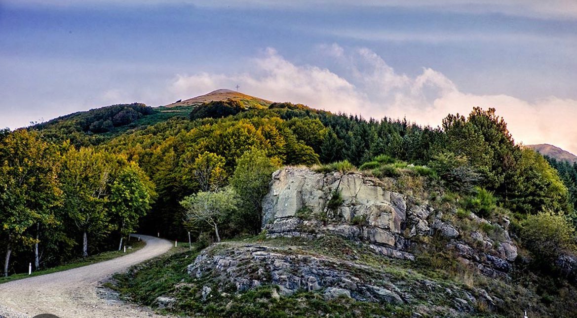 🔊 Asfalto sulla strada del Pratomagno. “Scelta scellerata. Rimettere al centro strategie di sostenibilità per il territorio e il turismo”