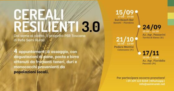 🎤 Cereali Resilienti 3.0 – Azienda Agricola Sun Agricoltura