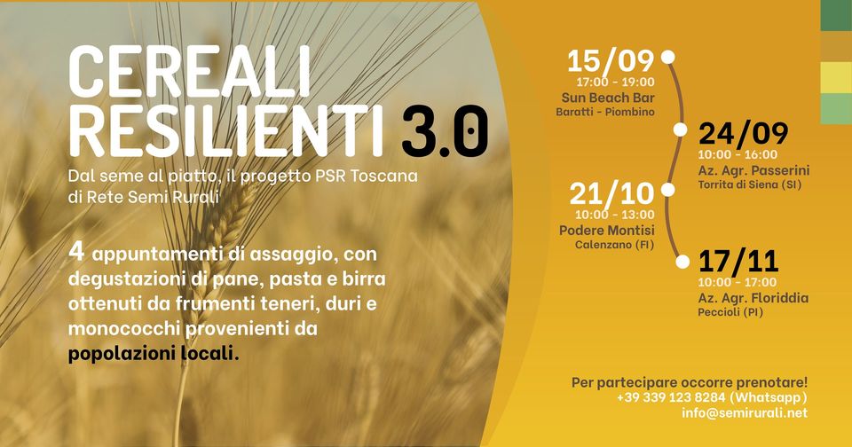 🎤 Cereali Resilienti 3.0 – Azienda Agricola Sun Agricoltura