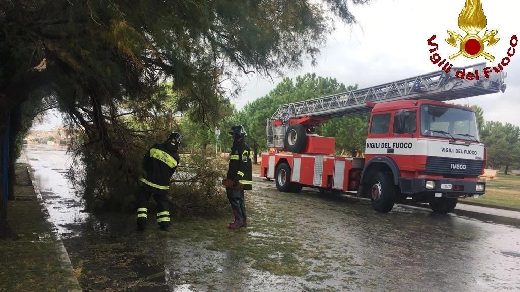 Maltempo in Toscana: chiuse scuole e aree verdi in diversi comuni della regione